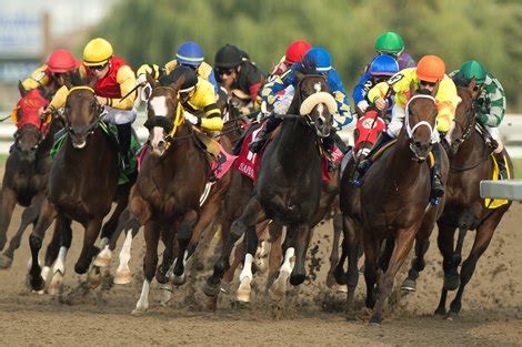 bloodhorse stakes schedule 2022.